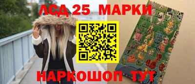 индика Гусь-Хрустальный