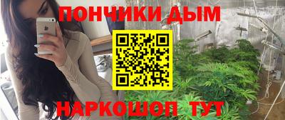 индика Гусь-Хрустальный