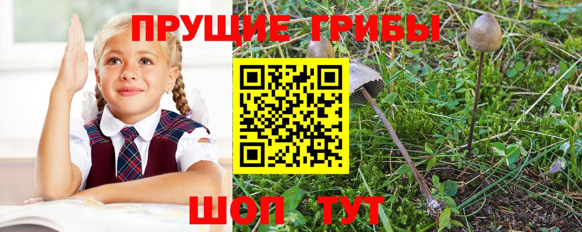 Псилоцибиновые грибы прущие грибы Касимов