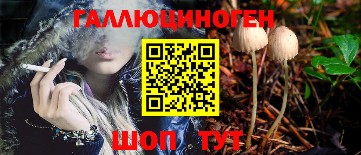 Касимов  Псилоцибиновые грибы Psilocybine cubensis  Вход с VPN  Галлюциногенные грибы Psilocybine cubensis 